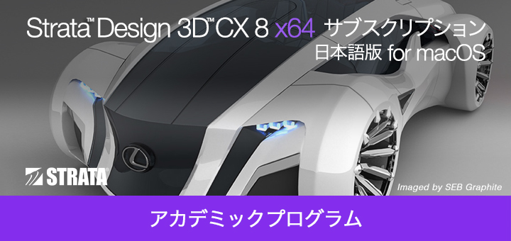 アカデミック版